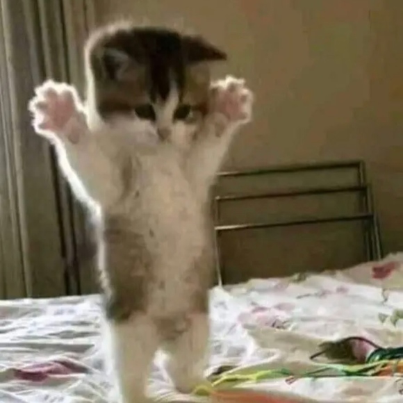 luhmehbebe